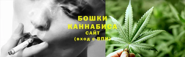 прущие грибы Арсеньев