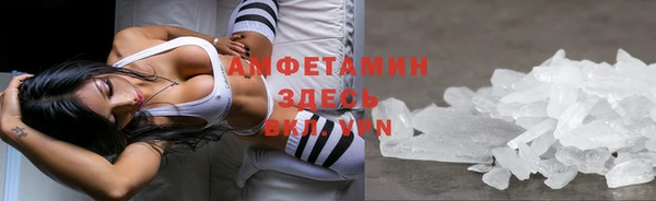прущие грибы Арсеньев