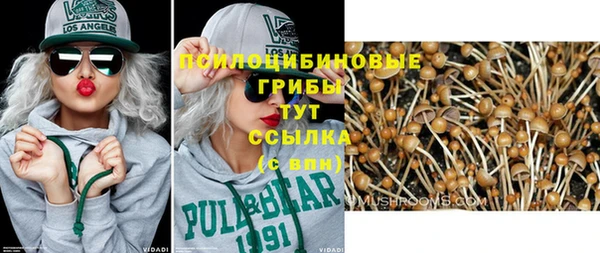 мескалин Баксан