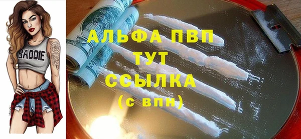 прущие грибы Арсеньев