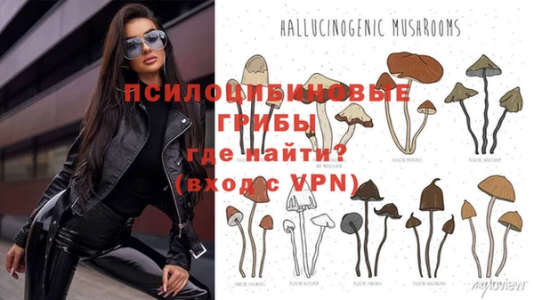 крисы Армянск