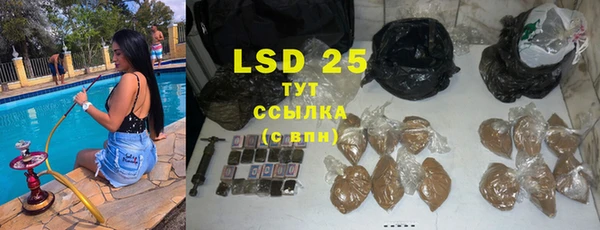 прущие грибы Арсеньев