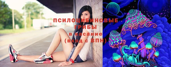 прущие грибы Арсеньев