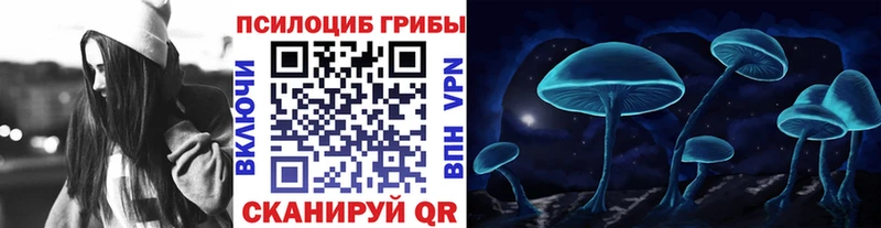 Галлюциногенные грибы Psilocybe Окуловка